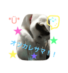 kiki と milk（個別スタンプ：13）