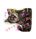 kiki と milk（個別スタンプ：14）