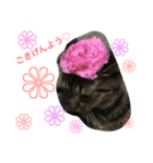 kiki と milk（個別スタンプ：15）