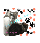 kiki と milk（個別スタンプ：16）