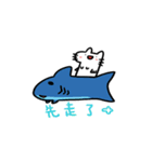 DogFish（個別スタンプ：39）