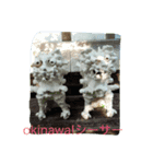 沖縄！！（個別スタンプ：4）