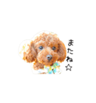 cookie's stickers（個別スタンプ：3）