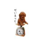 cookie's stickers（個別スタンプ：11）