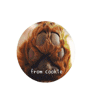 cookie's stickers（個別スタンプ：27）