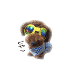 cookie's stickers（個別スタンプ：32）