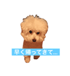 けんくん らぶ（個別スタンプ：1）