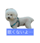 けんくん らぶ（個別スタンプ：2）