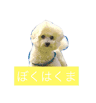 けんくん らぶ（個別スタンプ：3）