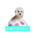 けんくん らぶ（個別スタンプ：7）