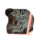 ごましおスタンプ＆赤飯（個別スタンプ：14）