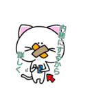 ねこと時々ぴよこ 日常（個別スタンプ：9）
