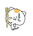 ねこと時々ぴよこ 日常（個別スタンプ：11）