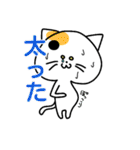 ねこと時々ぴよこ 日常（個別スタンプ：13）