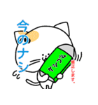 ねこと時々ぴよこ 日常（個別スタンプ：19）