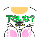 ねこと時々ぴよこ 日常（個別スタンプ：37）