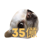 あんにん（個別スタンプ：5）