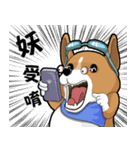 wapiyiji（個別スタンプ：7）