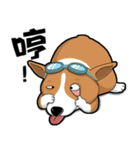 wapiyiji（個別スタンプ：8）