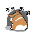 wapiyiji（個別スタンプ：12）