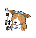 wapiyiji（個別スタンプ：13）
