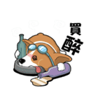 wapiyiji（個別スタンプ：14）