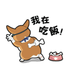 wapiyiji（個別スタンプ：20）