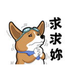 wapiyiji（個別スタンプ：25）