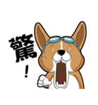 wapiyiji（個別スタンプ：34）