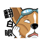 wapiyiji（個別スタンプ：35）