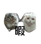 ジャックアクア（個別スタンプ：4）