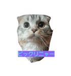 ジャックアクア（個別スタンプ：5）