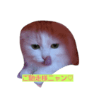 ジャックアクア（個別スタンプ：8）
