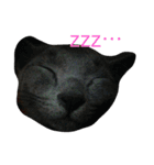 ねこといぬととり（個別スタンプ：1）
