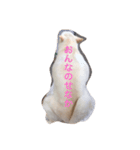 カレンの愉快な一日 ver.2（個別スタンプ：1）