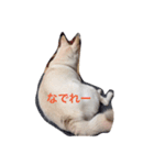 カレンの愉快な一日 ver.2（個別スタンプ：2）