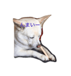 カレンの愉快な一日 ver.2（個別スタンプ：3）