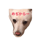 カレンの愉快な一日 ver.2（個別スタンプ：8）