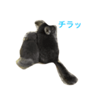 チラライフ（個別スタンプ：4）