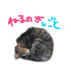 うちのねこのラッキー！（個別スタンプ：2）