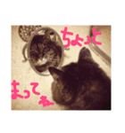 うちのねこのラッキー！（個別スタンプ：9）