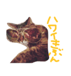 うちのねこのラッキー！（個別スタンプ：11）