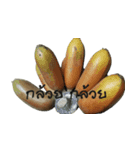 BananaSquirrel（個別スタンプ：10）