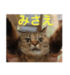 ねこたちその3（個別スタンプ：7）
