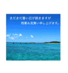 沖縄の風景絵葉書と水中生物の日常会話です（個別スタンプ：10）