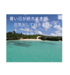 沖縄の風景絵葉書と水中生物の日常会話です（個別スタンプ：35）