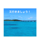 沖縄の風景絵葉書と水中生物の日常会話です（個別スタンプ：36）
