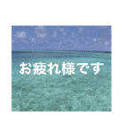 沖縄の風景絵葉書と水中生物の日常会話です（個別スタンプ：38）