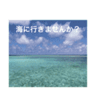 沖縄の風景絵葉書と水中生物の日常会話です（個別スタンプ：39）
