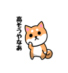 大阪弁の柴犬さん (リメイク)（個別スタンプ：3）